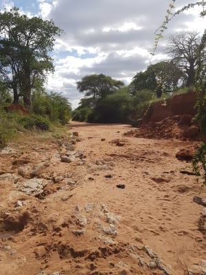 Sand dam feasibility study - Chimwina district site 5