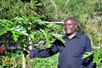 Francis Mutuku Kikuvi of New Kyambondo SHG on his farm
